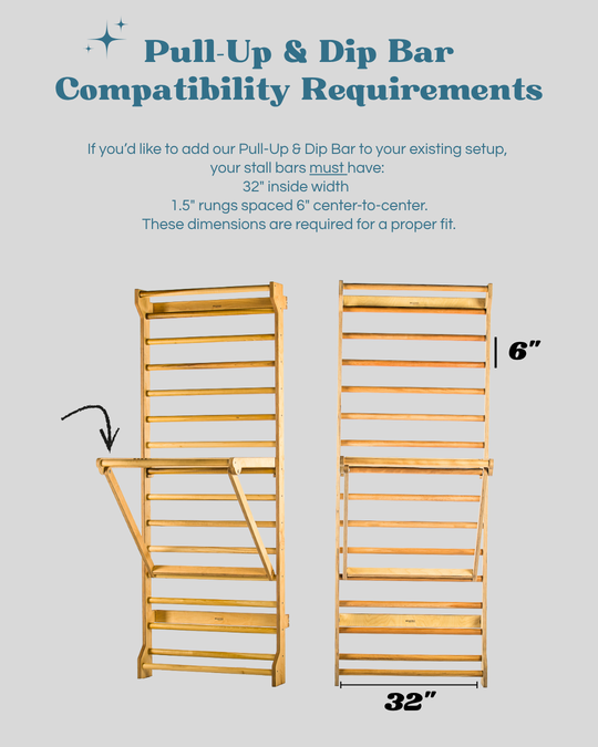 Adjustable Pull-Up and Dip Bar