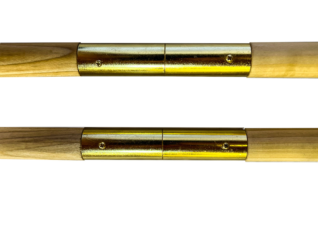 Extension Poles for Scoliosis