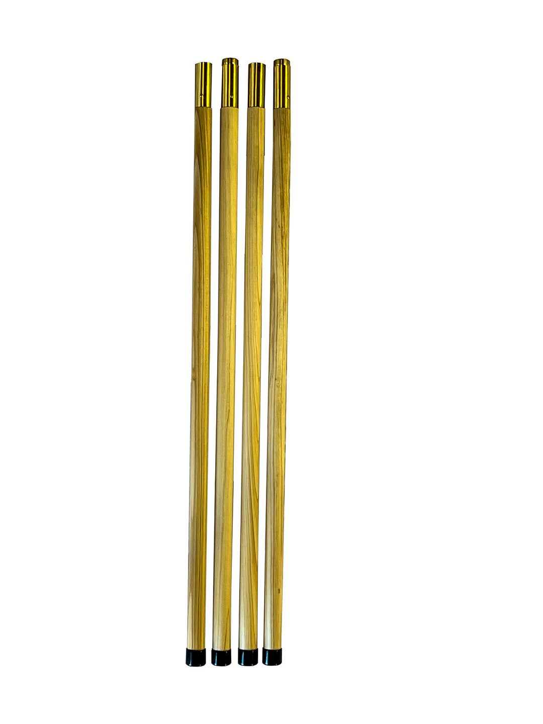 Extension Poles for Scoliosis - Deals