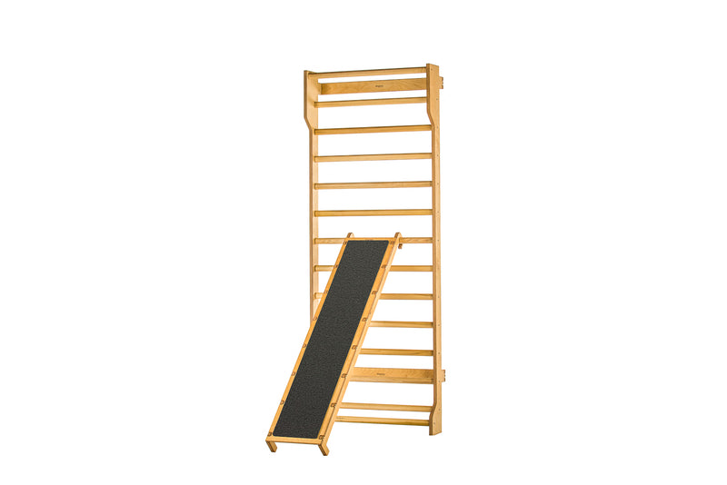 Incline Exercise Bench