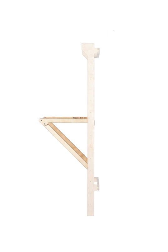 Adjustable Pull-Up and Dip Bar